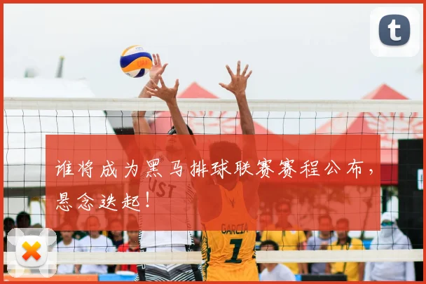 谁将成为黑马排球联赛赛程公布，悬念迭起！
